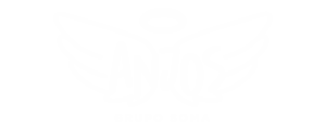 Anjos Grupo Soma