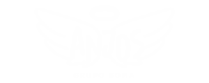Anjos
